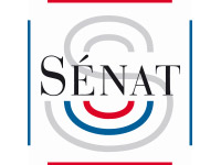 logo-senat